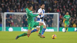 Brighton and Hove Albion vs. Watford: Premier League Showdown at American Express Community Stadium (02FEB19)