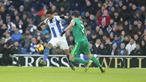 Brighton and Hove Albion vs. Watford: Premier League Showdown at American Express Community Stadium (02FEB19)