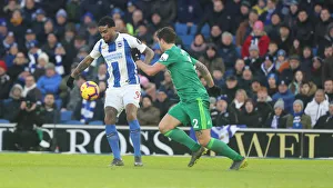 Brighton and Hove Albion vs. Watford: Premier League Showdown at American Express Community Stadium (02FEB19)