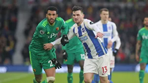 Brighton and Hove Albion vs. Watford: Premier League Showdown at American Express Community Stadium (02FEB19)