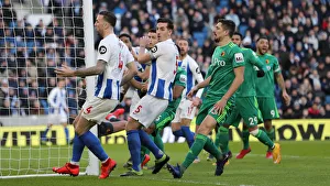 Brighton and Hove Albion vs. Watford: Premier League Showdown at American Express Community Stadium (02FEB19)