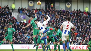 Brighton and Hove Albion vs. Watford: Premier League Showdown at American Express Community Stadium (02FEB19)