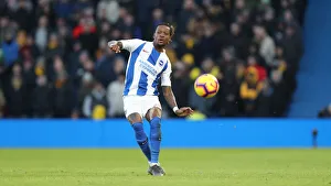 Brighton and Hove Albion vs. Watford: Premier League Showdown at American Express Community Stadium (02FEB19)
