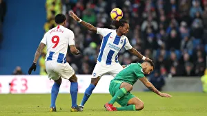 Brighton and Hove Albion vs. Watford: Premier League Showdown at American Express Community Stadium (02FEB19)