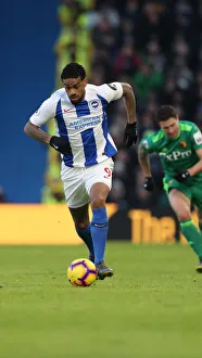 Brighton and Hove Albion vs. Watford: Premier League Showdown at American Express Community Stadium (February 2019)