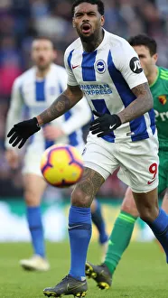 Brighton and Hove Albion vs. Watford: Premier League Showdown at American Express Community Stadium (February 2019)