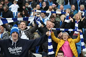 Brighton & Hove Albion vs. Derby County: Emirates FA Cup Battle at American Express Community Stadium (16th February 2019)