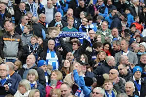 Brighton and Hove Albion vs. Derby County: Emirates FA Cup Showdown at American Express Community Stadium (16th February 2019)