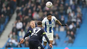 Brighton and Hove Albion vs. Derby County: Emirates FA Cup Showdown at American Express Community Stadium (February 16, 2019)