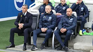 Brighton and Hove Albion vs. Huddersfield Town: Premier League Showdown at American Express Community Stadium (02MAR19)