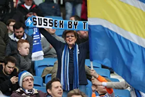 Brighton and Hove Albion vs. Huddersfield Town: Premier League Showdown at American Express Community Stadium (02MAR19)