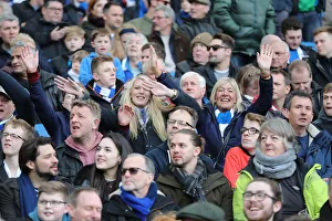Brighton and Hove Albion vs. Huddersfield Town: Premier League Showdown at American Express Community Stadium (02MAR19)