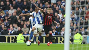 Brighton and Hove Albion vs. Huddersfield Town: Premier League Showdown at American Express Community Stadium (02MAR19)