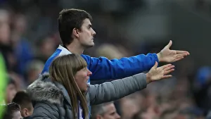 Brighton and Hove Albion vs. Huddersfield Town: Premier League Showdown at American Express Community Stadium (02MAR19)