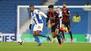 Brighton and Hove Albion vs. Huddersfield Town: Premier League Battle at American Express Community Stadium (02MAR19)