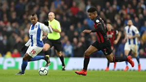Brighton and Hove Albion vs. Huddersfield Town: Premier League Showdown at American Express Community Stadium (02MAR19)