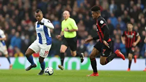 Brighton and Hove Albion vs. Huddersfield Town: Premier League Showdown at American Express Community Stadium (02MAR19)