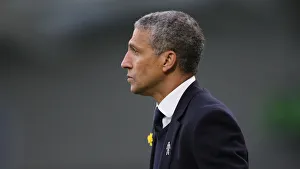 Brighton and Hove Albion vs. Huddersfield Town: Premier League Showdown at American Express Community Stadium (02MAR19)