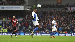 Brighton and Hove Albion vs. Huddersfield Town: Premier League Showdown at American Express Community Stadium (02MAR19)
