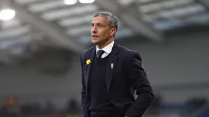 Brighton and Hove Albion vs. Huddersfield Town: Premier League Showdown at American Express Community Stadium (02MAR19)
