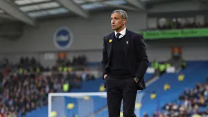 Brighton and Hove Albion vs. Huddersfield Town: Premier League Showdown at American Express Community Stadium (02MAR19)