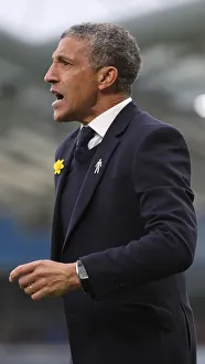 Brighton and Hove Albion vs. Huddersfield Town: Premier League Showdown at American Express Community Stadium (02MAR19)