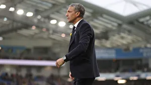 Brighton and Hove Albion vs. Huddersfield Town: Premier League Showdown at American Express Community Stadium (02MAR19)
