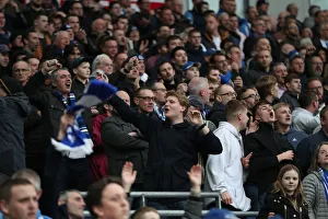 Brighton and Hove Albion vs. Huddersfield Town: Premier League Showdown at American Express Community Stadium (02MAR19)