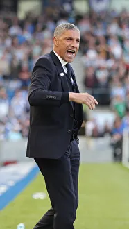 Brighton and Hove Albion vs. Southampton: Premier League Showdown at American Express Community Stadium (30MAR19)