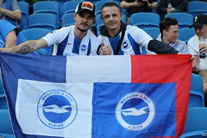 Brighton and Hove Albion vs. Southampton: Premier League Showdown at American Express Community Stadium (30MAR19)