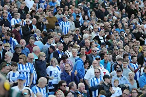 Brighton and Hove Albion vs. Southampton: Premier League Showdown at American Express Community Stadium (30MAR19)