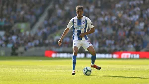 Brighton and Hove Albion vs. Southampton: Premier League Showdown at American Express Community Stadium (30MAR19)