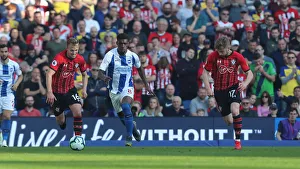 Brighton and Hove Albion vs. Southampton: Premier League Showdown at American Express Community Stadium (30MAR19)