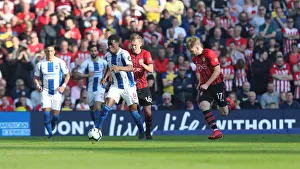 Brighton and Hove Albion vs. Southampton: Premier League Battle at American Express Community Stadium (30MAR19)