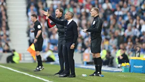 Brighton and Hove Albion vs. Southampton: Premier League Showdown at American Express Community Stadium (30MAR19)