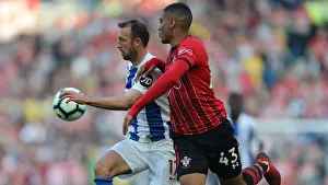 Brighton and Hove Albion vs. Southampton: Premier League Showdown at American Express Community Stadium (30MAR19)