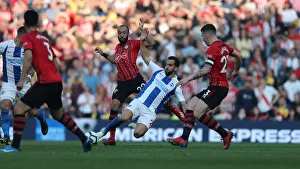 Brighton and Hove Albion vs. Southampton: Premier League Showdown at American Express Community Stadium (30MAR19)