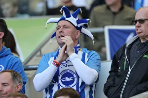 Brighton and Hove Albion vs. Southampton: Premier League Showdown at American Express Community Stadium (30MAR19)