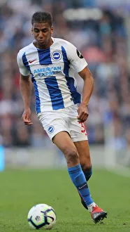 Brighton and Hove Albion vs. Southampton: Premier League Battle at American Express Community Stadium (30MAR19)