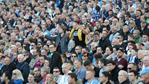 Brighton and Hove Albion vs. Southampton: Premier League Battle at American Express Community Stadium (30MAR19)