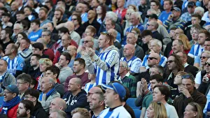 Brighton and Hove Albion vs. Southampton: Premier League Showdown at American Express Community Stadium (30MAR19)