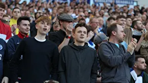 Brighton and Hove Albion vs. Southampton: Premier League Battle at American Express Community Stadium (30MAR19)