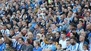 Brighton and Hove Albion vs. Southampton: Premier League Showdown at American Express Community Stadium (30MAR19)