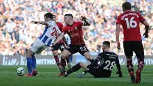 Brighton and Hove Albion vs. Southampton: Premier League Showdown at American Express Community Stadium (30MAR19)