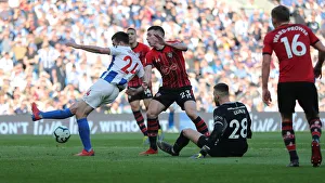Brighton and Hove Albion vs. Southampton: Premier League Showdown at American Express Community Stadium (30MAR19)