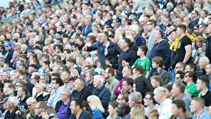 Brighton and Hove Albion vs. Southampton: Premier League Showdown at American Express Community Stadium (30MAR19)
