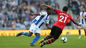 Brighton and Hove Albion vs. Southampton: Premier League Showdown at American Express Community Stadium (30MAR19)