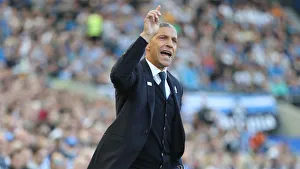 Brighton and Hove Albion vs. Southampton: Premier League Showdown at American Express Community Stadium (30MAR19)
