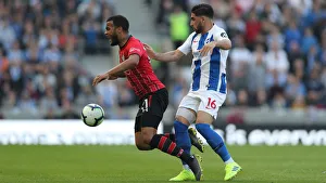 Brighton and Hove Albion vs. Southampton: Premier League Showdown at American Express Community Stadium (30MAR19)