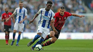 Brighton and Hove Albion vs. Southampton: Premier League Showdown at American Express Community Stadium (30MAR19)